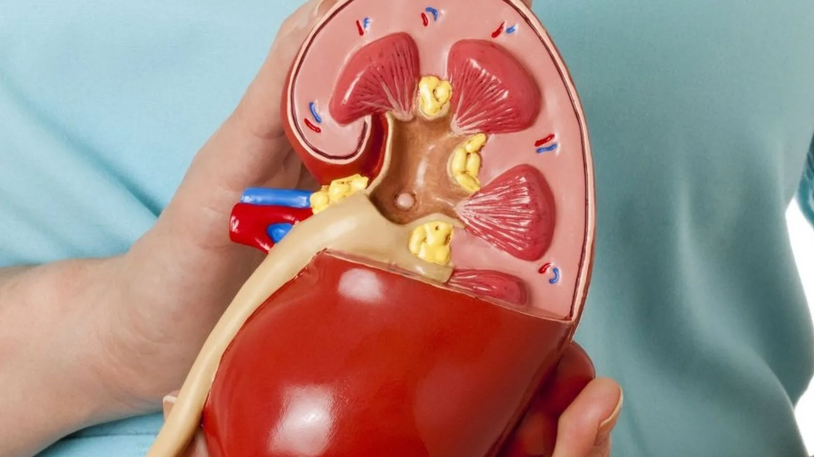 ¿Qué especialista trata la pielonefritis?